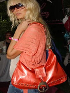 Kimberly Stewart's 'it' bag