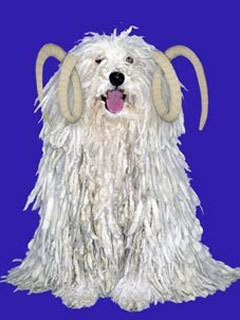 Aries