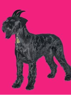 Capricorn