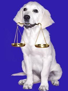 Libra