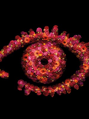 Ofcom investigating Big Brother after viewers lodge over 1,000 complaints for three separate incidents