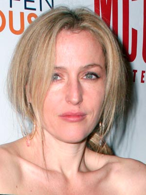 Gillian Anderson: I turned down role in Downton Abbey - I prefer to play The Fall's sexy detective