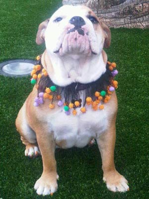 Coco | Pictures | Photos | New | Event