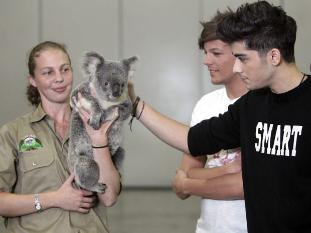 One Direction cuddle up to cute koala in Australia 