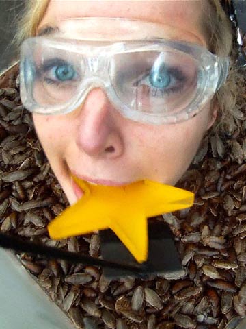 Helen Flanagan 'so proud ' after sticking head in boxes of bugs to win first Bushtucker Trial on I'm A Celebrity